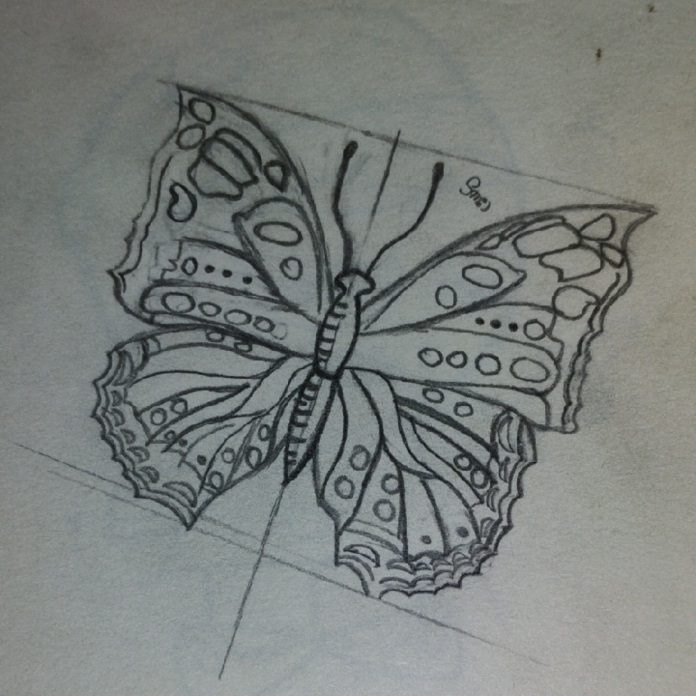 Elegant Black and Gray Butterfly Sketch